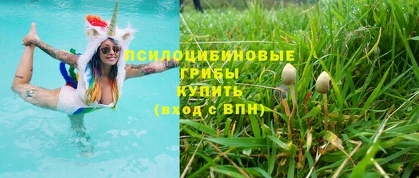 шишки Покровск